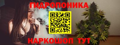 стаф Аргун